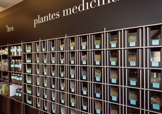 plantes medicinals